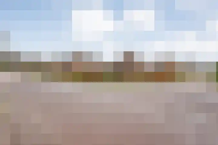 Havelter Schapendrift 33 Havelte thumbnail 38