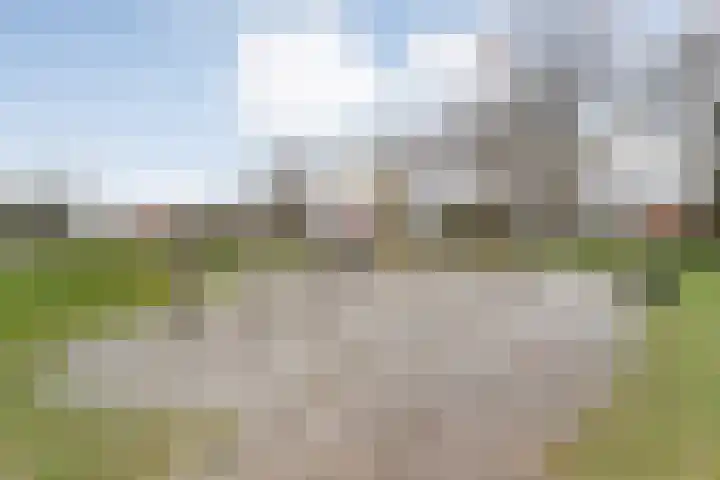Havelter Schapendrift 33 Havelte thumbnail 39