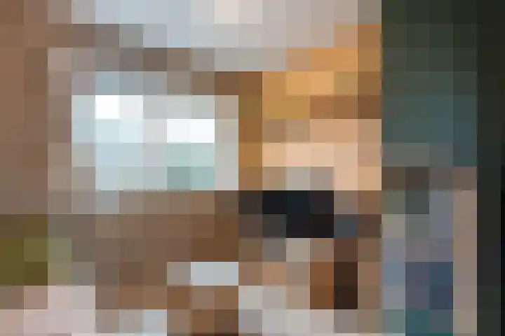 Havelter Schapendrift 33 Havelte thumbnail 4