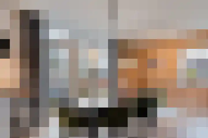 Havelter Schapendrift 33 Havelte thumbnail 6