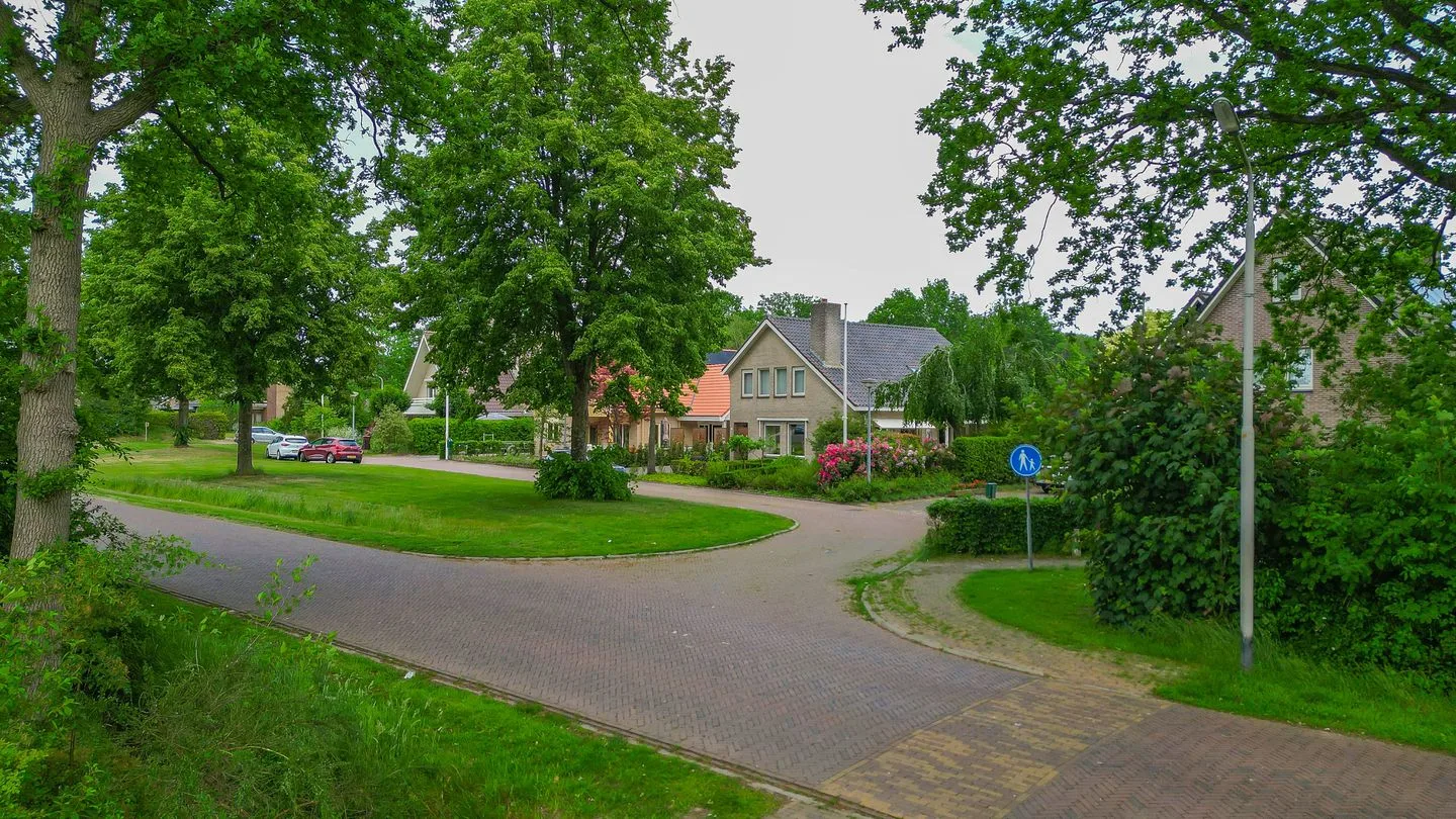 Havelter Schapendrift 51 Havelte thumbnail 61
