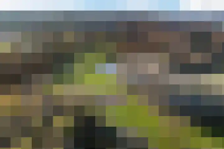 Havelterschans 1 Nieuwegein thumbnail 54