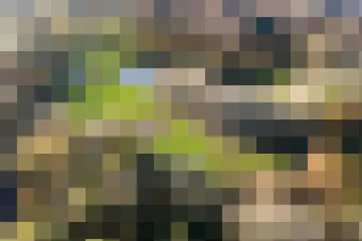 Havelterschans 1 Nieuwegein thumbnail 55