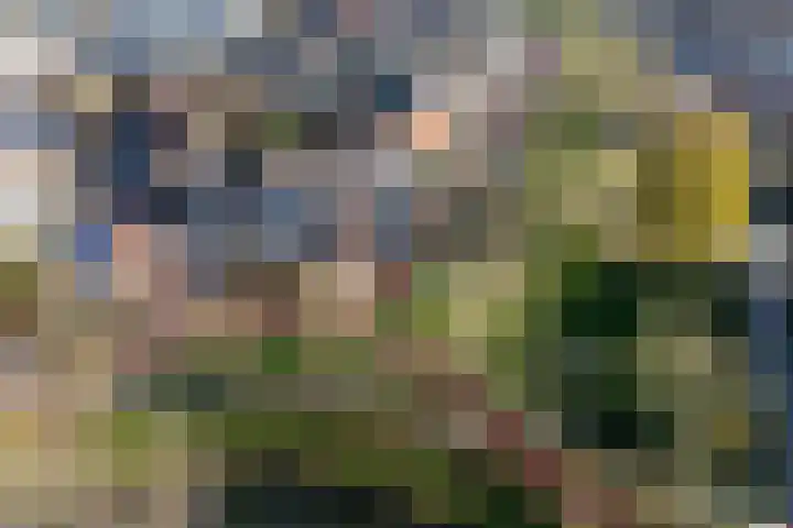 Havelterschans 1 Nieuwegein thumbnail 58