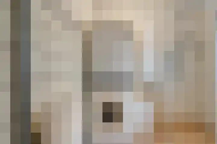 Havelterweg 14 Ruinerwold thumbnail 15