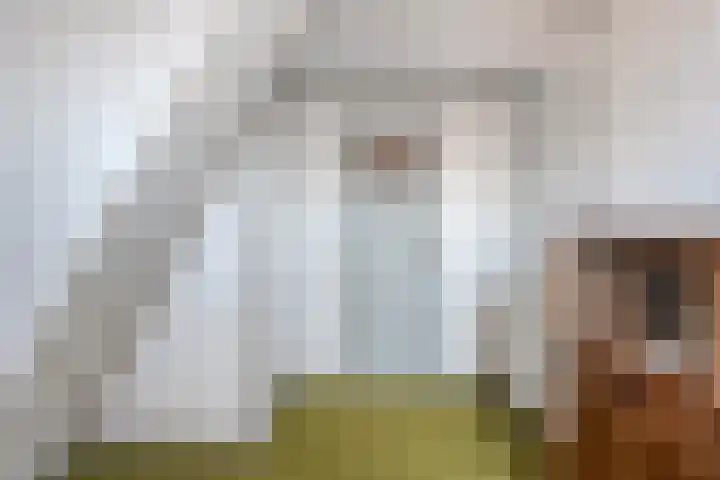 Havelterweg 14 Ruinerwold thumbnail 22