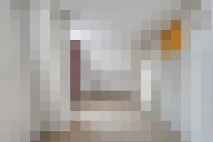 Havelterweg 14 Ruinerwold thumbnail 26