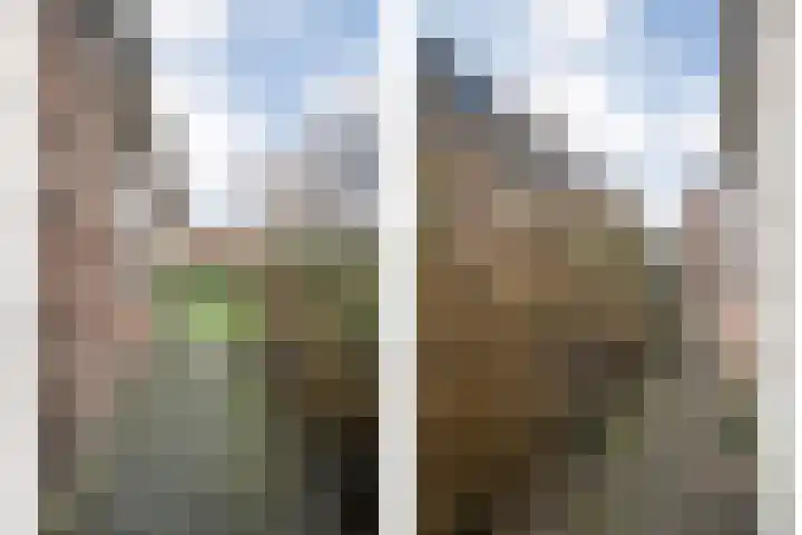 Havelterweg 14 Ruinerwold thumbnail 27