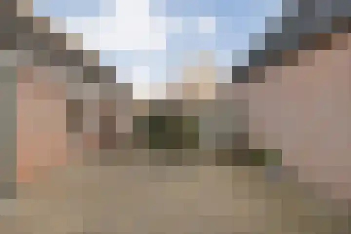 Havelterweg 14 Ruinerwold thumbnail 30