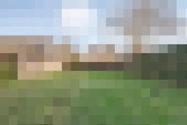 Havelterweg 14 Ruinerwold thumbnail 33