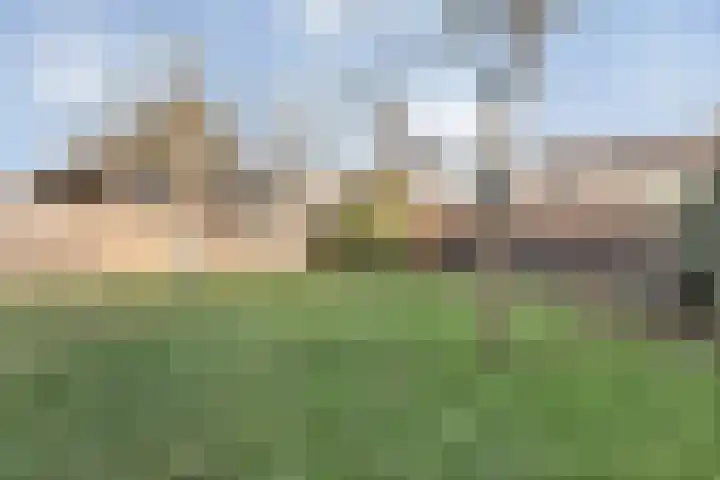 Havelterweg 14 Ruinerwold thumbnail 34