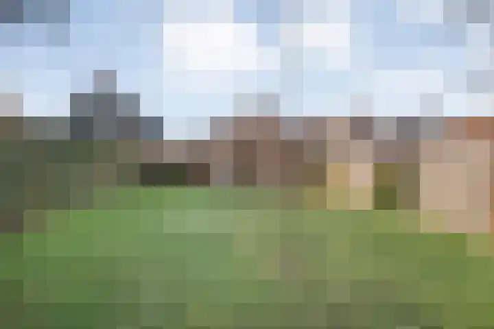 Havelterweg 14 Ruinerwold thumbnail 35