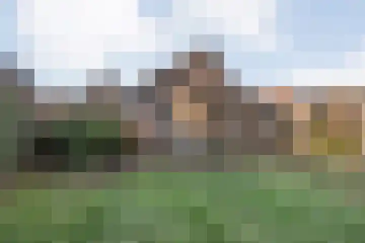 Havelterweg 14 Ruinerwold thumbnail 36