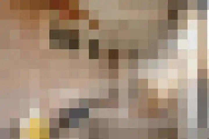 Havelterweg 14 Ruinerwold thumbnail 37