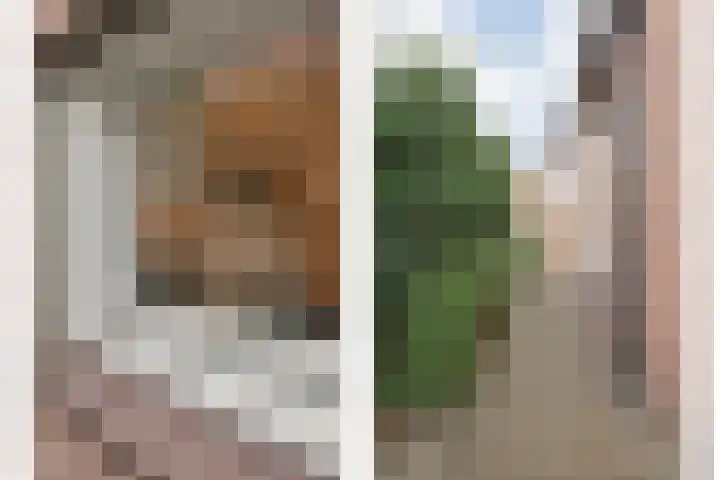 Havelterweg 14 Ruinerwold thumbnail 38