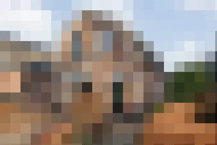 Havelterweg 14 Ruinerwold thumbnail 40