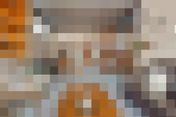 Havelterweg 14 Ruinerwold thumbnail 7