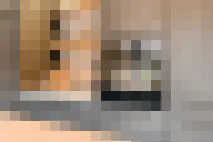 Havelterweg 43 Ruinerwold thumbnail 12