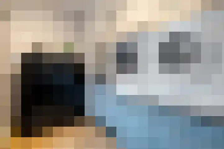 Havelterweg 43 Ruinerwold thumbnail 13