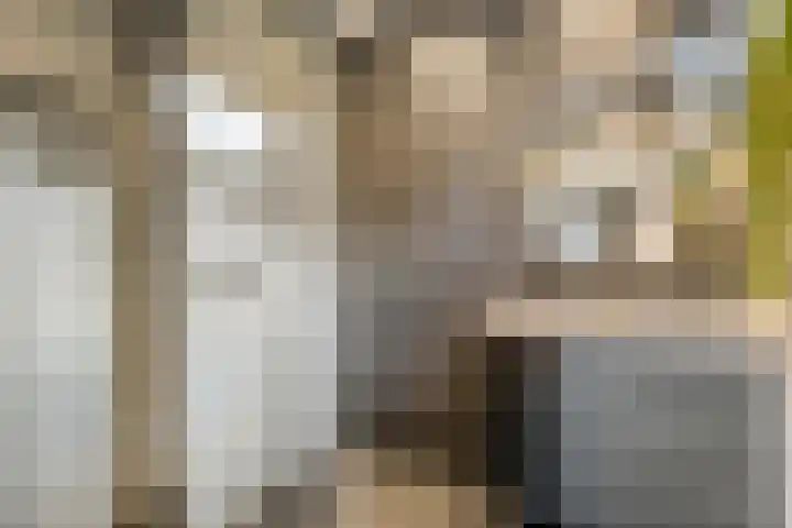 Havelterweg 43 Ruinerwold thumbnail 18