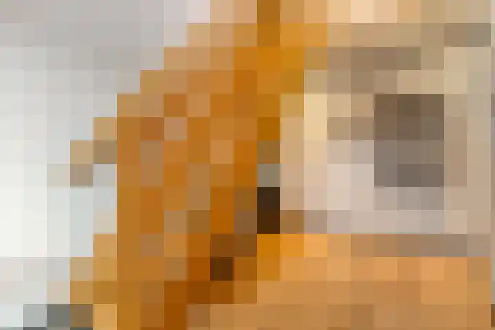 Havelterweg 43 Ruinerwold thumbnail 21
