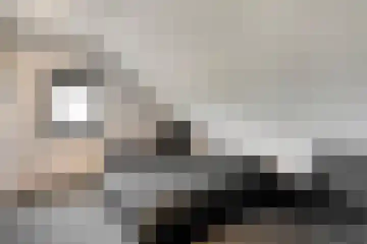 Havelterweg 43 Ruinerwold thumbnail 23