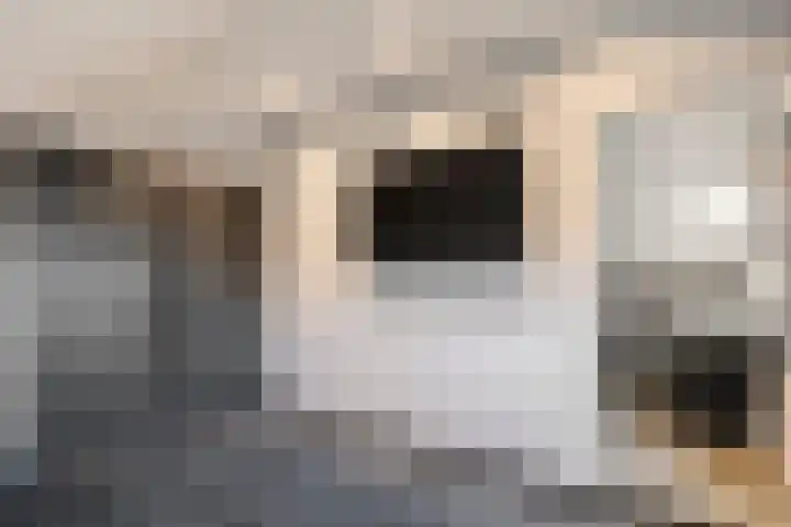 Havelterweg 43 Ruinerwold thumbnail 24