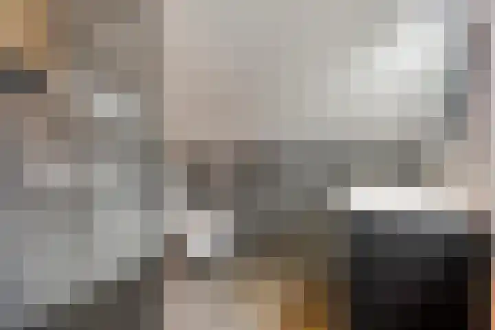 Havelterweg 43 Ruinerwold thumbnail 25