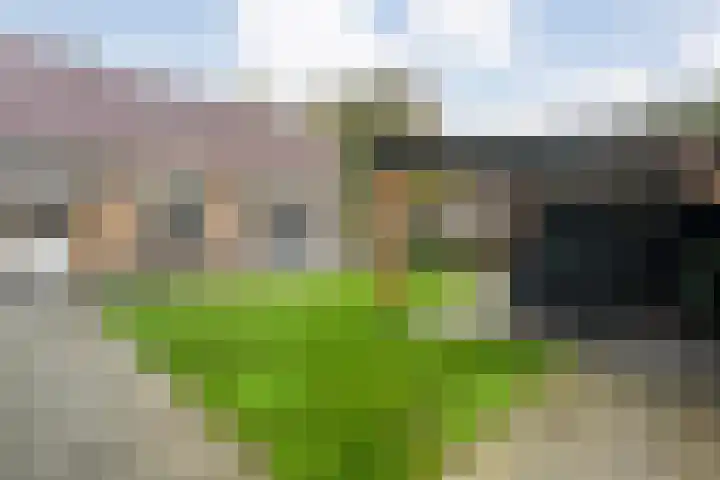 Havelterweg 43 Ruinerwold thumbnail 31