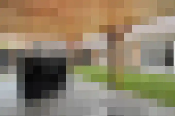 Havelterweg 43 Ruinerwold thumbnail 32