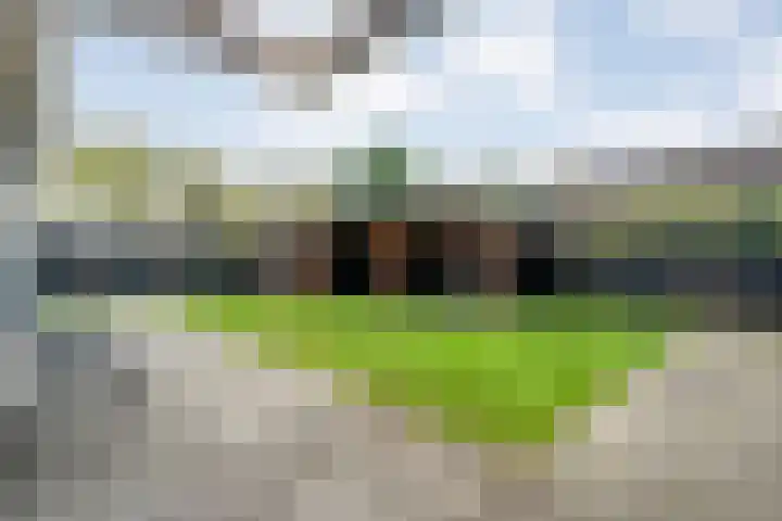 Havelterweg 43 Ruinerwold thumbnail 35