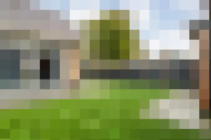 Havelterweg 43 Ruinerwold thumbnail 36