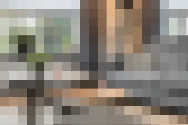 Havelterweg 43 Ruinerwold thumbnail 4