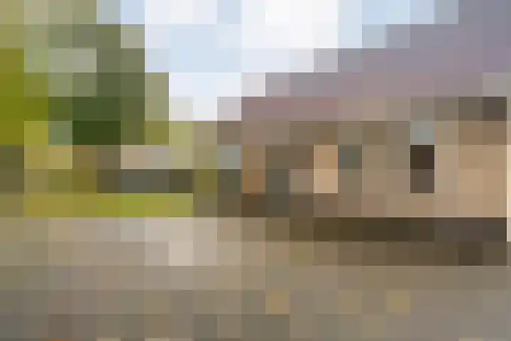 Havelterweg 43 Ruinerwold thumbnail 40