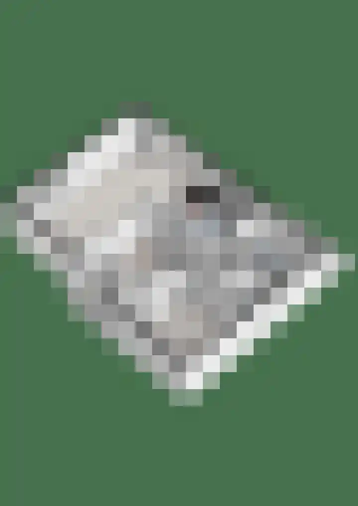 Havelterweg 43 Ruinerwold thumbnail 44