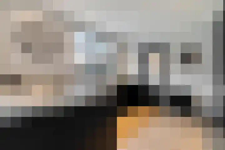 Havelterweg 43 Ruinerwold thumbnail 9
