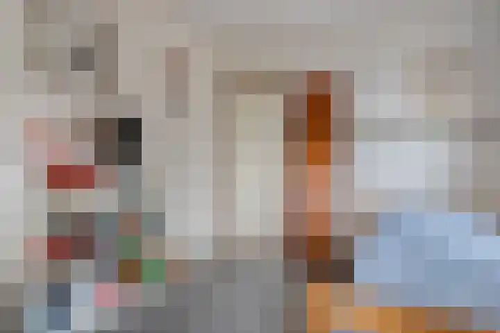 Havelterweg 53 Ruinerwold thumbnail 16