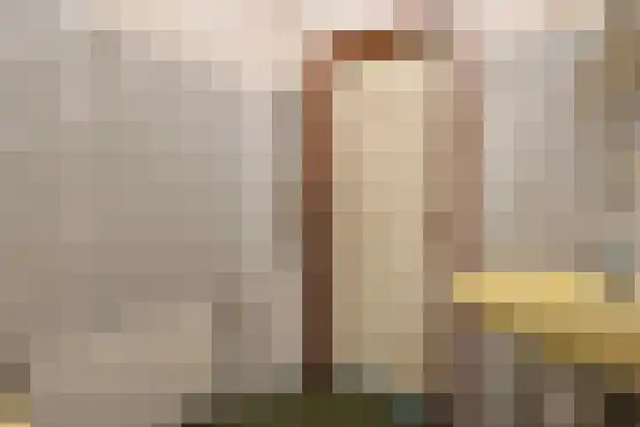 Havelterweg 53 Ruinerwold thumbnail 22