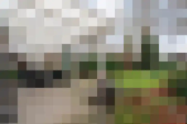 Havelterweg 53 Ruinerwold thumbnail 36