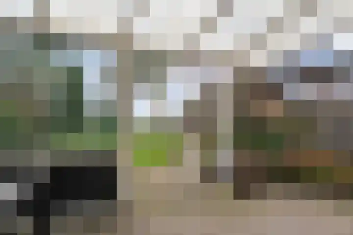 Havelterweg 53 Ruinerwold thumbnail 38