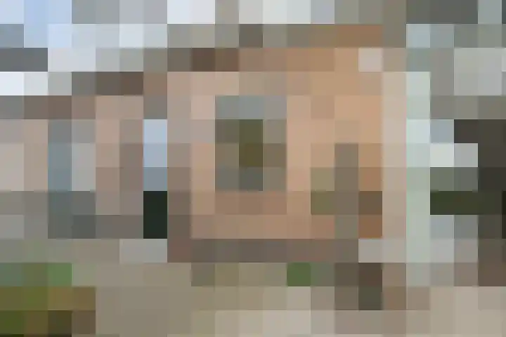 Havelterweg 53 Ruinerwold thumbnail 39