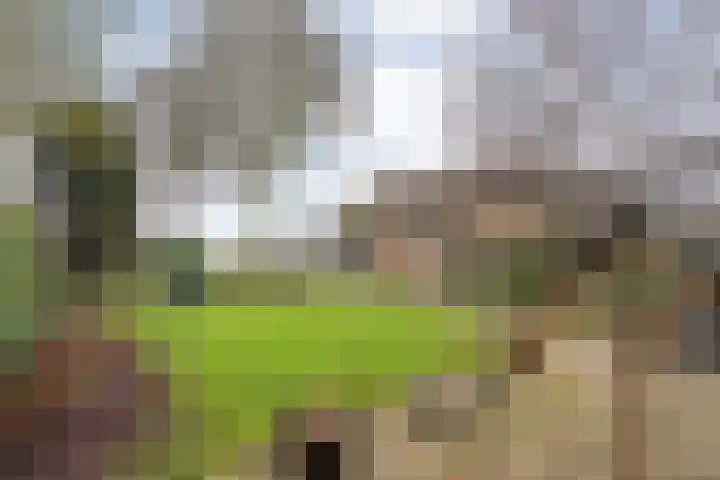 Havelterweg 53 Ruinerwold thumbnail 40