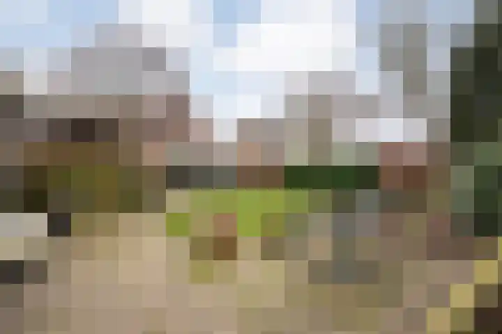 Havelterweg 53 Ruinerwold thumbnail 41