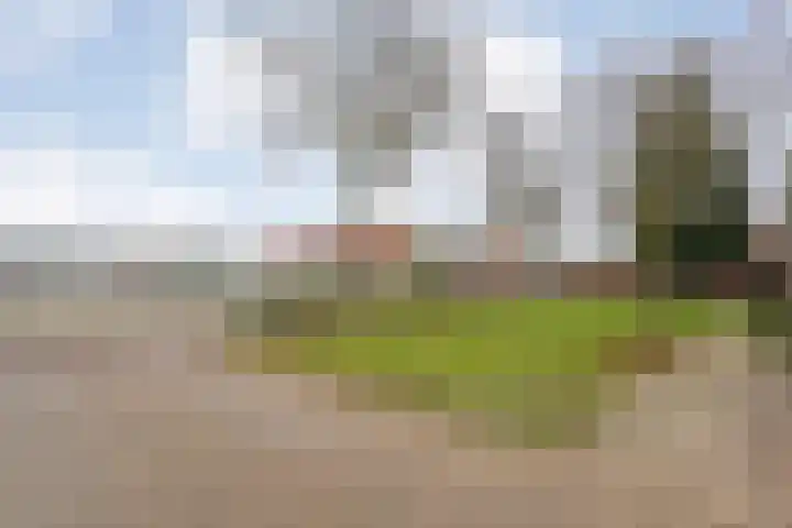 Havelterweg 53 Ruinerwold thumbnail 44