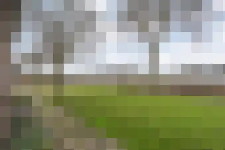 Havelterweg 53 Ruinerwold thumbnail 45