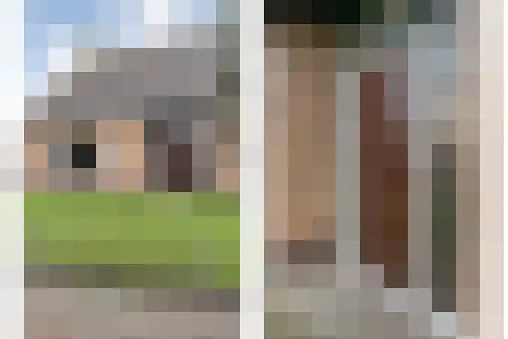 Havelterweg 53 Ruinerwold thumbnail 46