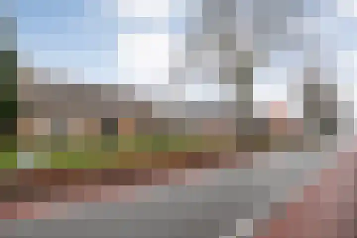 Havelterweg 53 Ruinerwold thumbnail 47