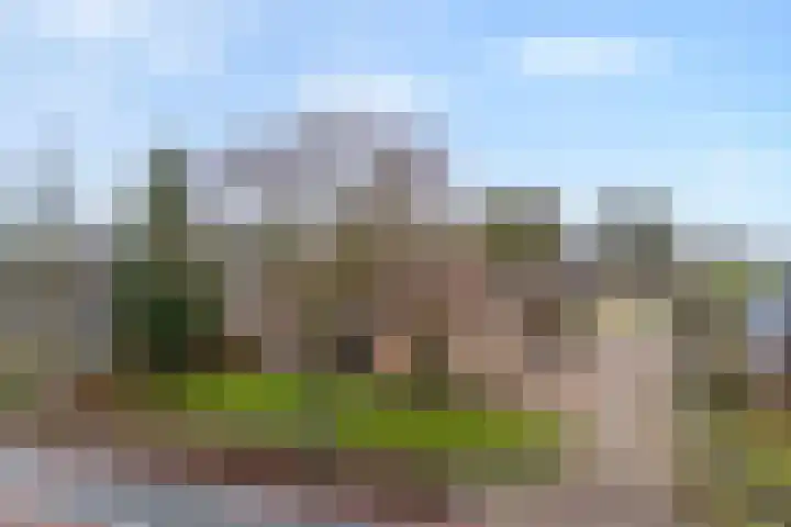 Havelterweg 53 Ruinerwold thumbnail 50