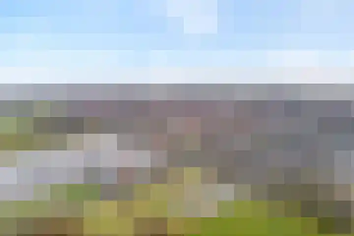 Havelterweg 53 Ruinerwold thumbnail 51