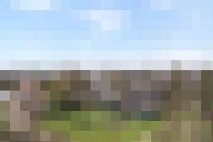 Havelterweg 53 Ruinerwold thumbnail 52